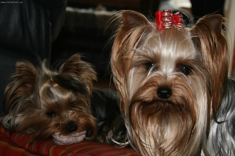 Foto: Jessie s K��kou