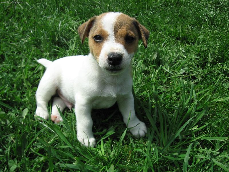 Foto: Tim-7.t�dn�