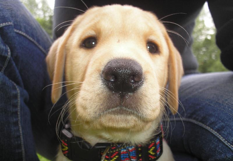 Foto: Britu�ka jako miminko :)