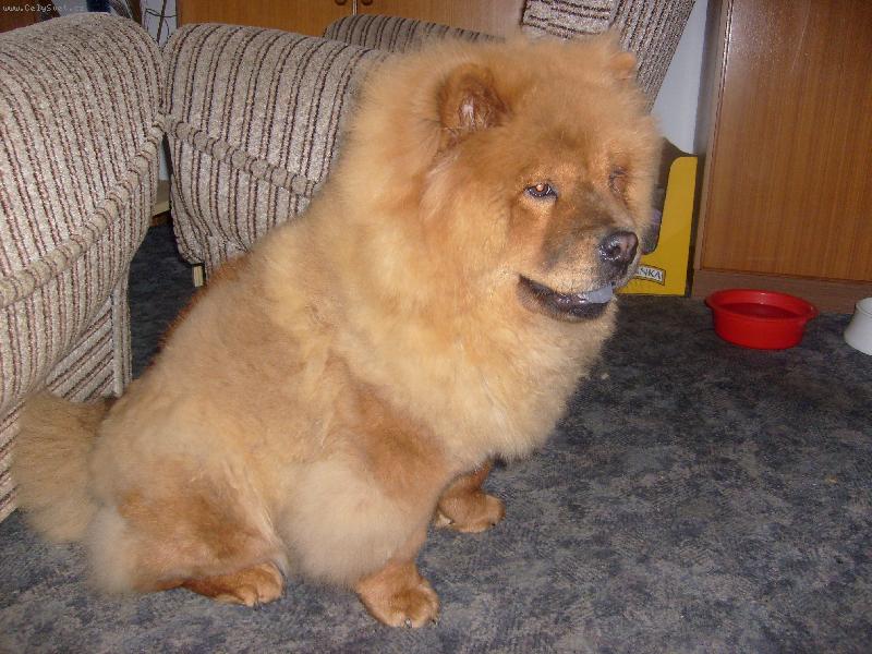 Foto: Jonita Haltrava