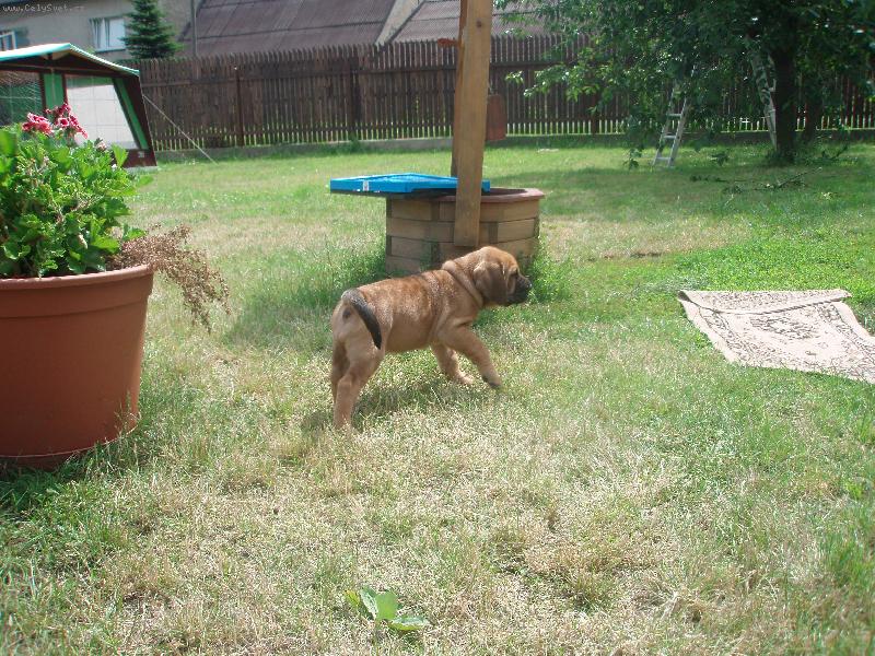 Foto: Na�e �t���tko Aida-1 m�s�c