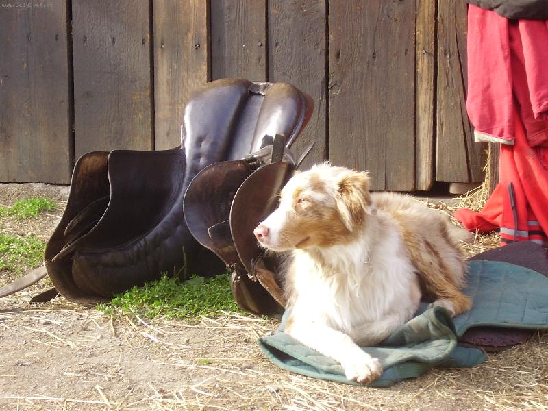 Foto: Gucci u kon�