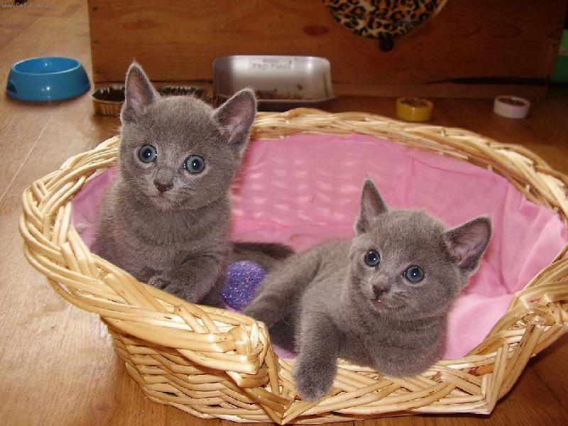 Foto: Leonardo a Leont�nka-Ko��tka v pel�ku