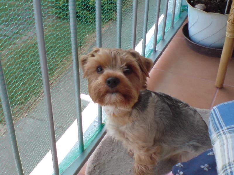 Foto: max�k-... ... ....