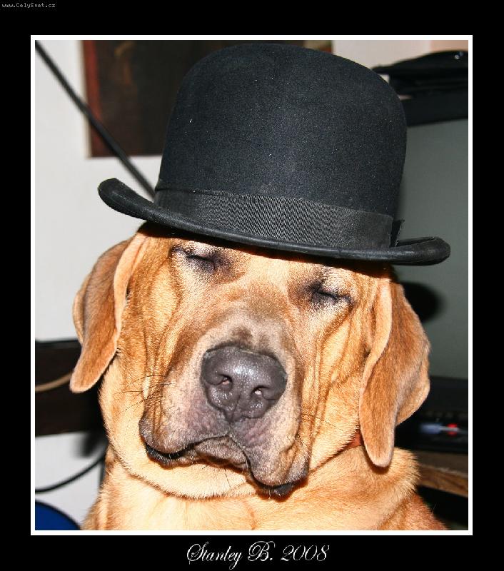 Foto: Baldey ze �pi��ku 11 m�s�c�