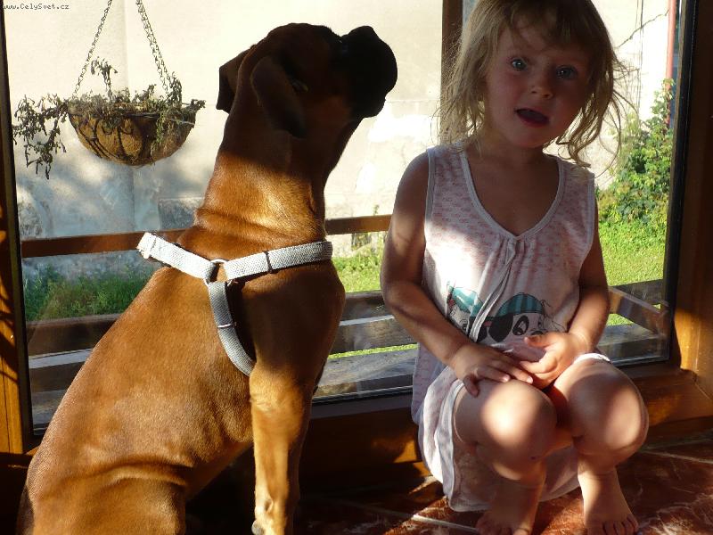 Foto: Erm�n-Stejn� T� p�erostu