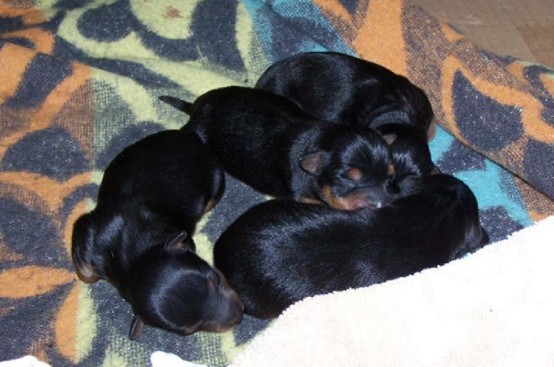 Foto: �t���tka