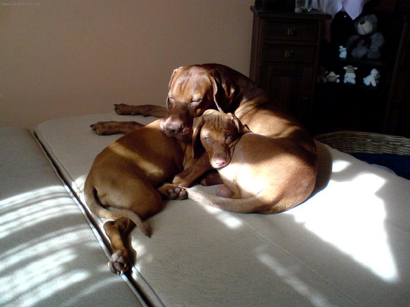 Foto: M�m u� s�gru-Paddy a Eimy z D���na