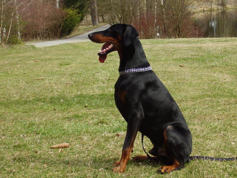 Foto: Atos z Podolanky