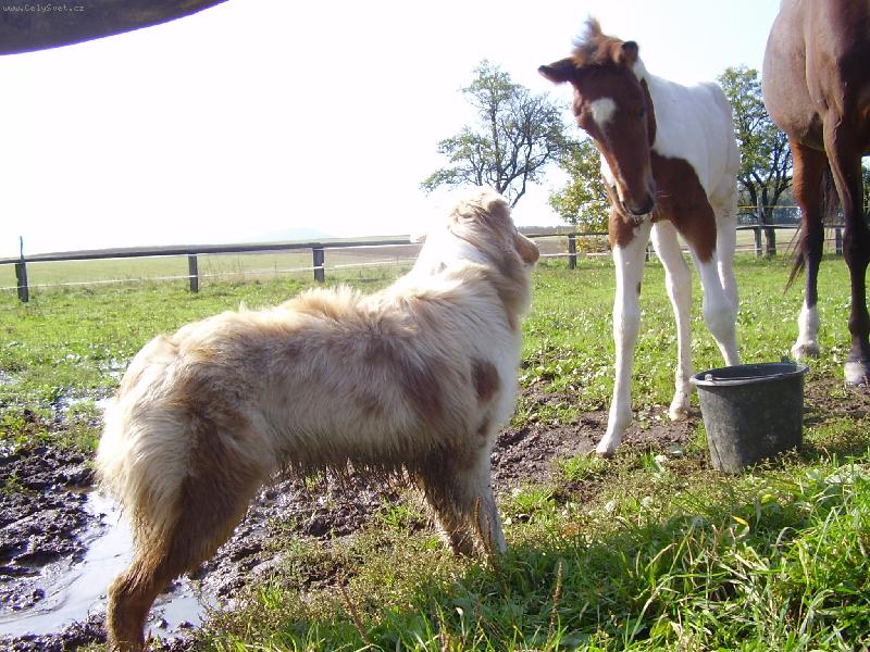 Foto: Gucci a Elinka