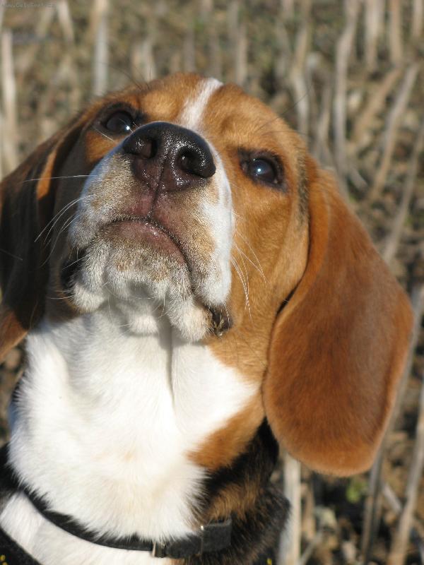 Foto: Ma�o-N� Ma�ko