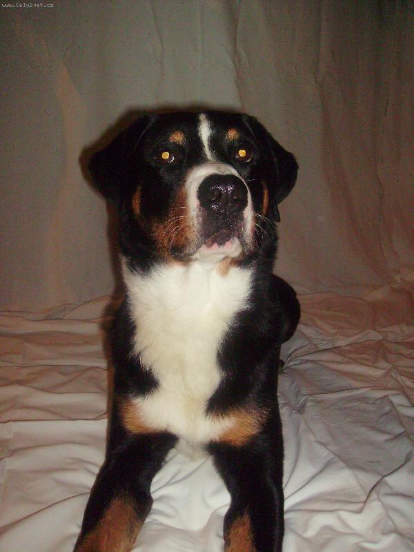 Foto: Angelo Novaboon Paradise-dom�c� ateli�r