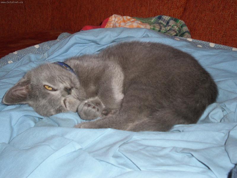 Foto: Odpo�inek-Deni (3 m�s�ce)