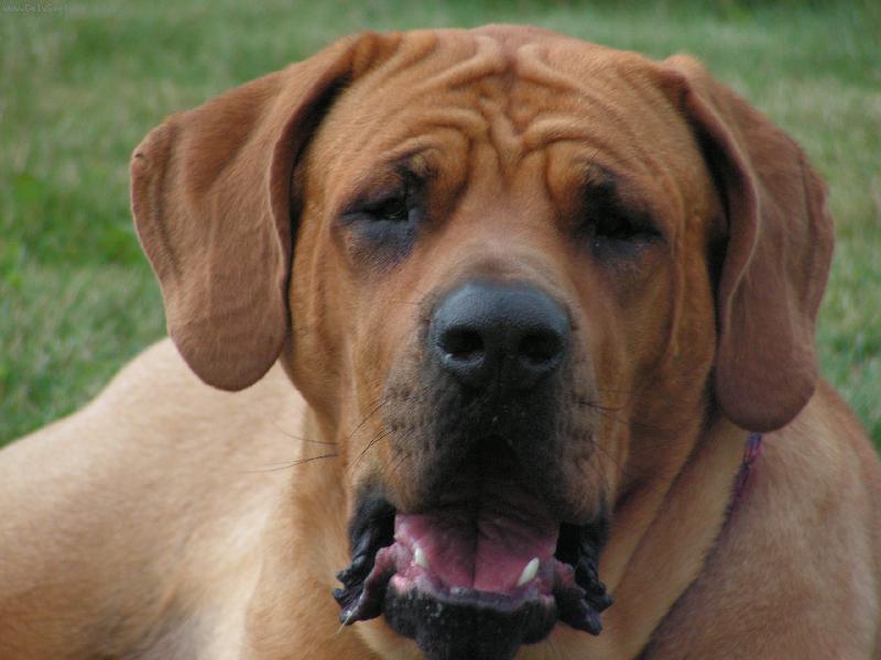 Foto: Basaki Kalabousek-Z�va�ka