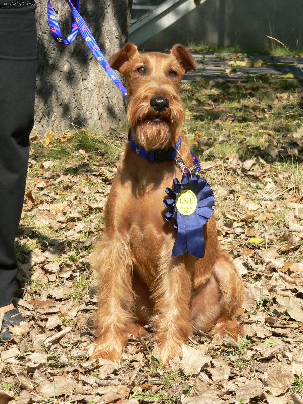 Foto: Eda-n� krasavec