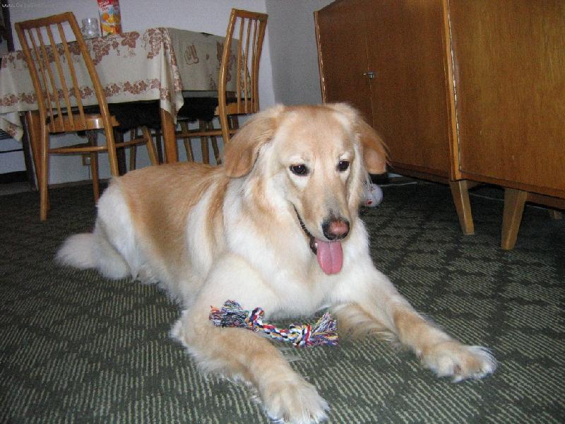 Foto: Bona Dea-U babi�ky