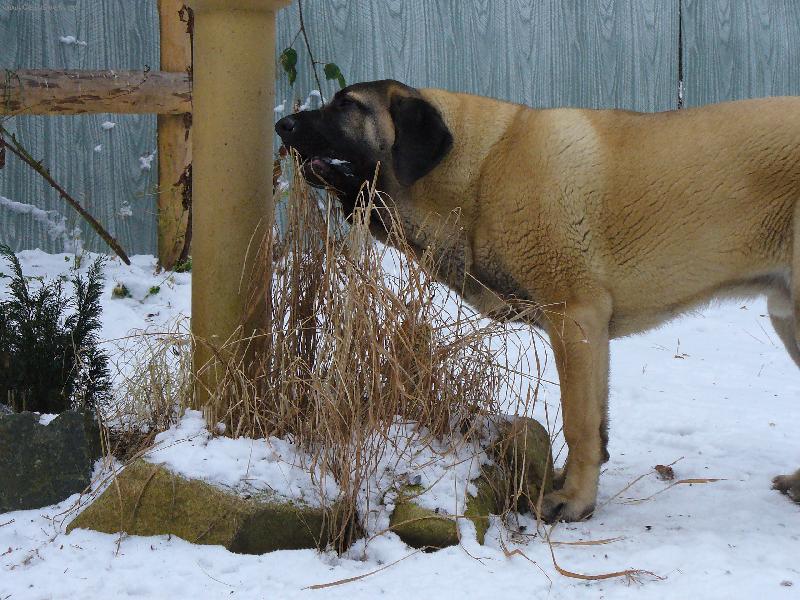 Foto:  �t�n�  7  m�s�c�