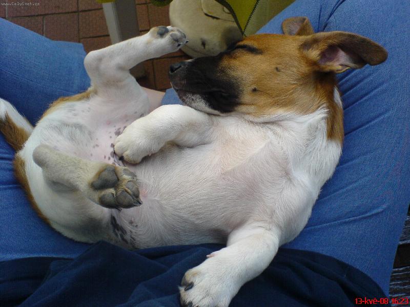 Foto: Happy-Pep��ek-veget