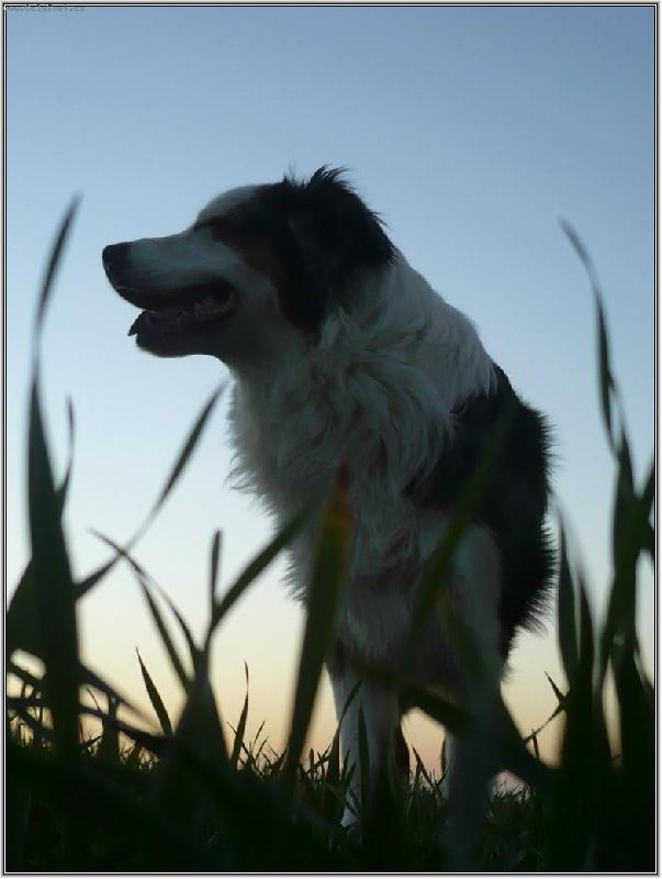 Foto: z�pad v poli