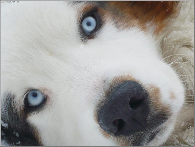 Foto: Co�e ? D�ra ? Vyhraban� ? Kde ?