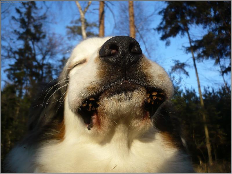 Foto: hahaha - dostal jsem v�s