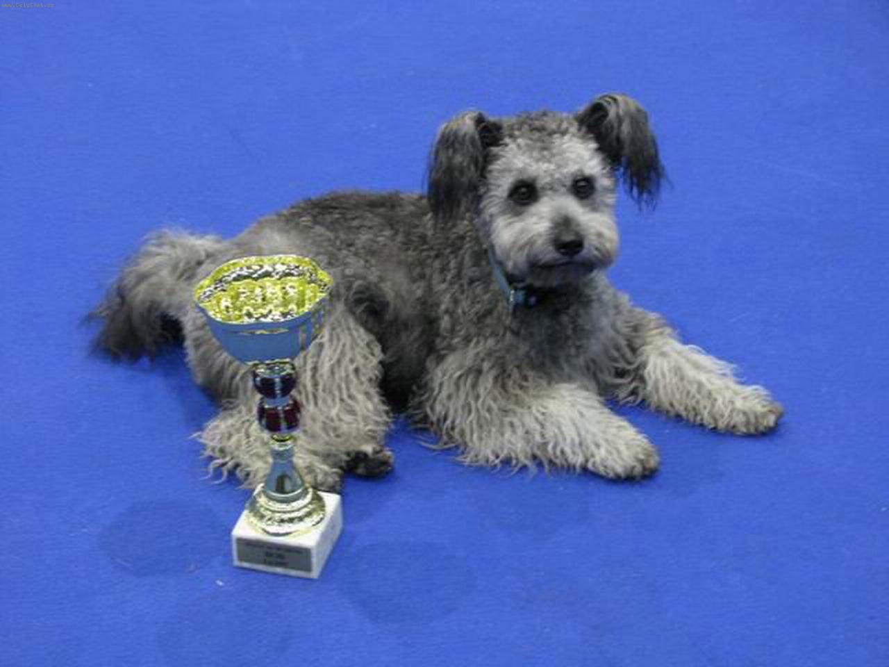 Foto: Napos Meseszep