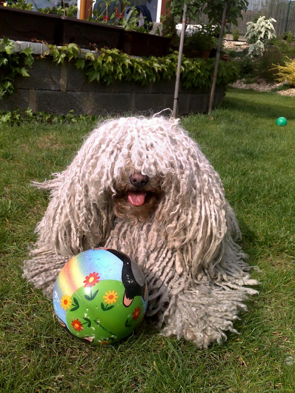 Foto: Lenke s bal�nkem