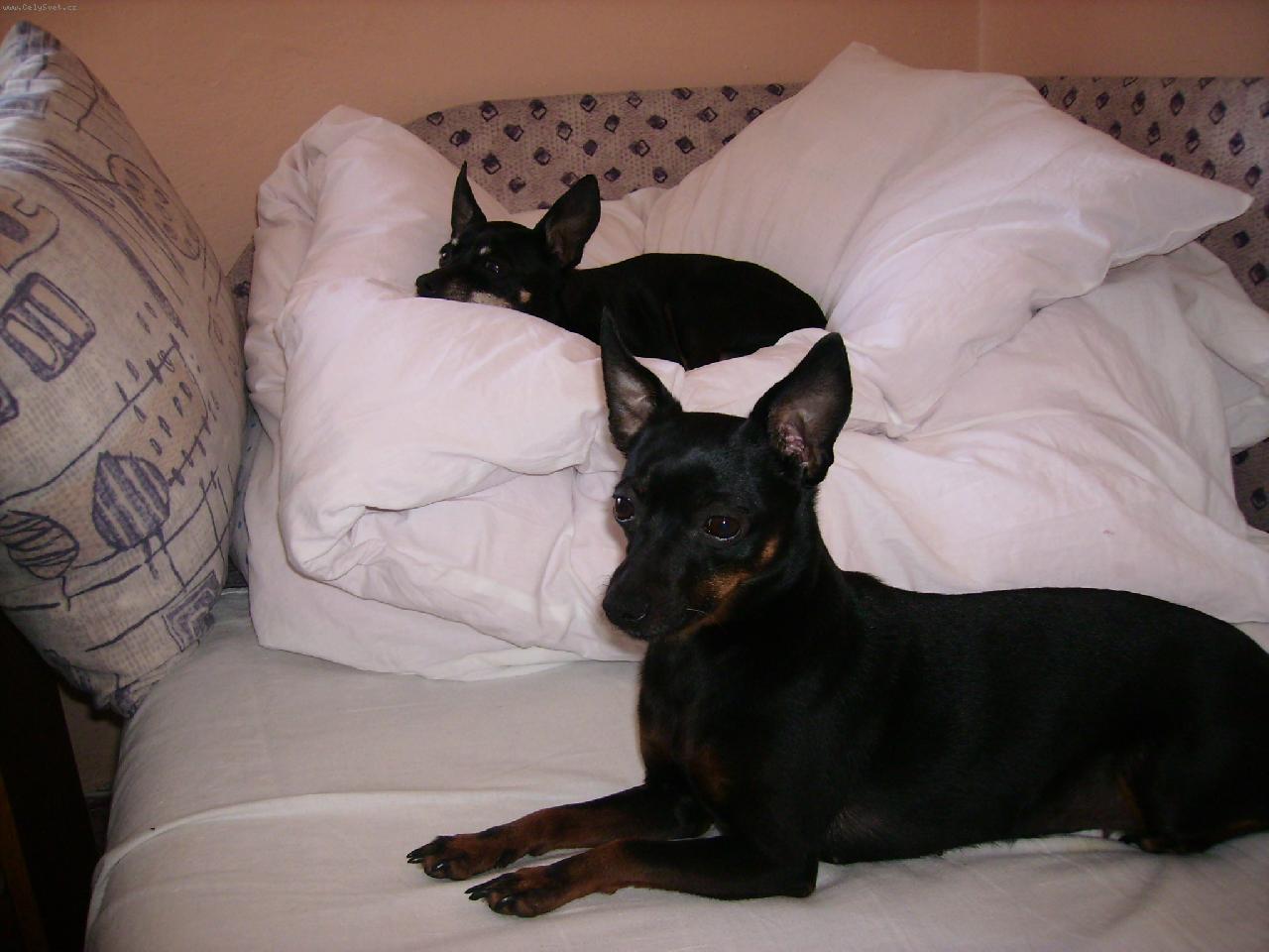 Foto: relax v mem pelisku :)