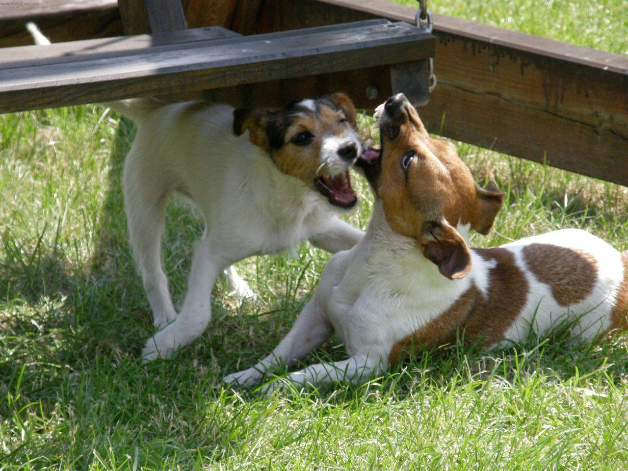 Foto: zoubkov�n�.....