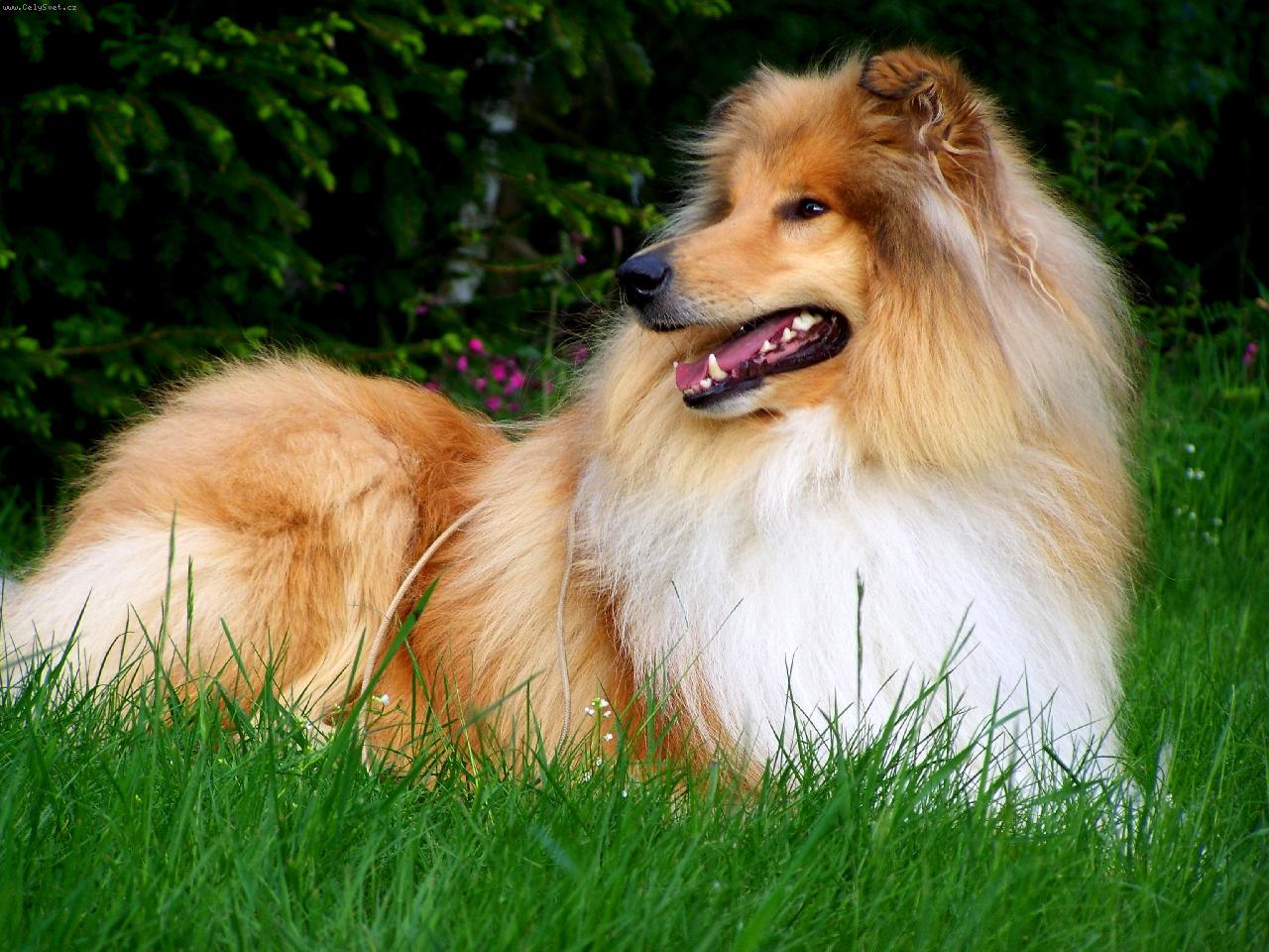 Foto: Aim to please-Aim to please