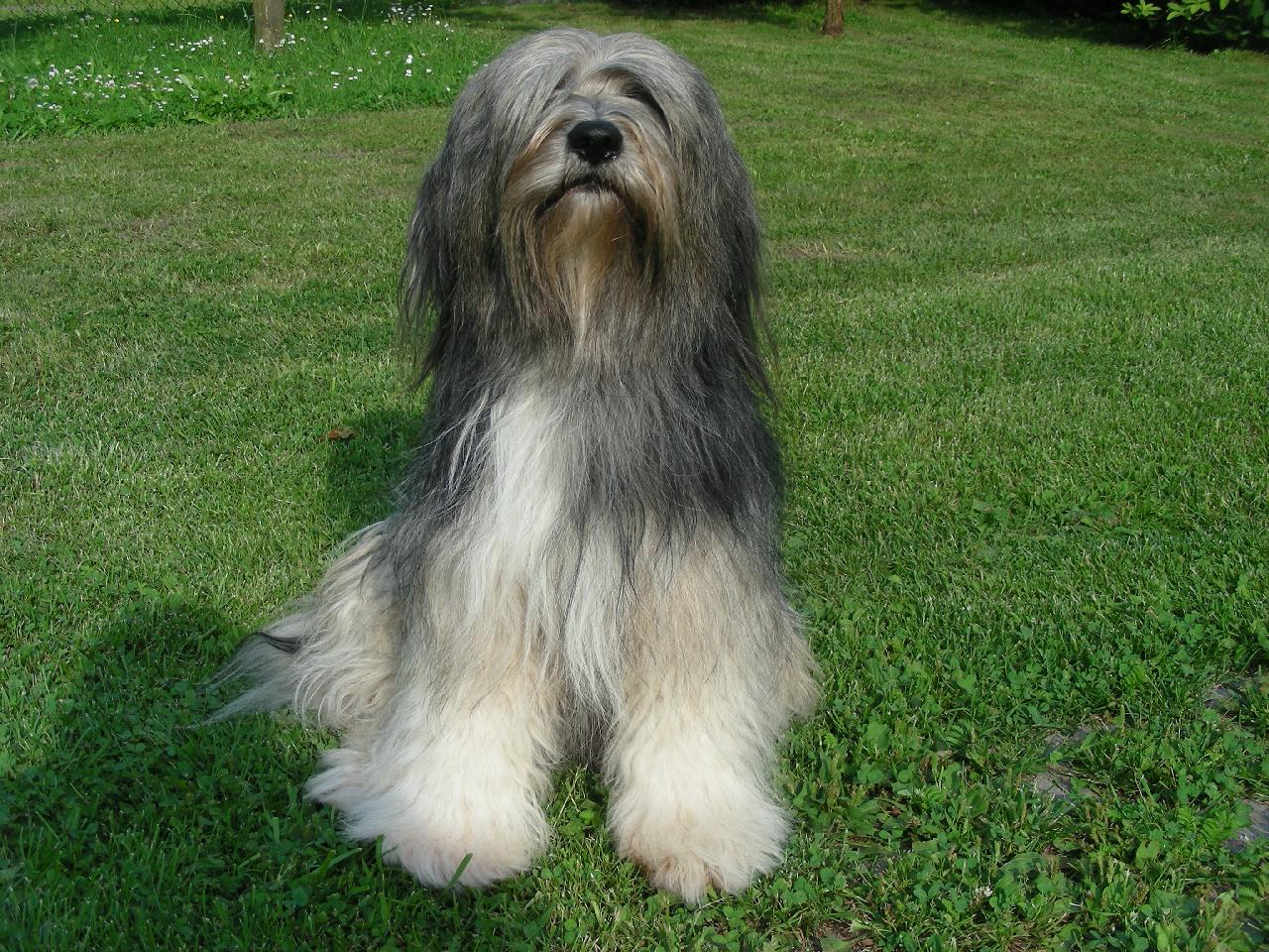 Foto: Ta�i-vykoup�n, na�es�n....