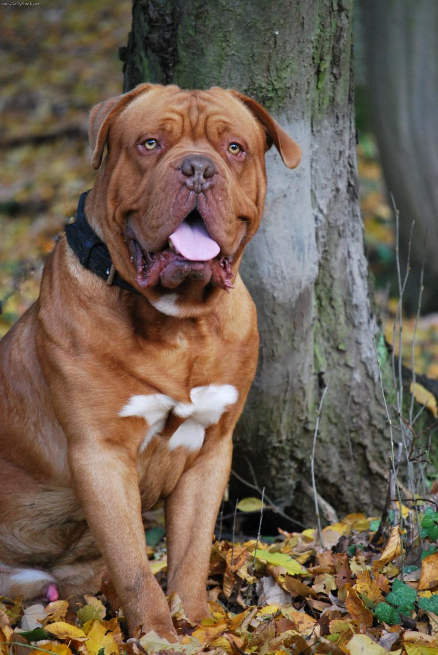 Foto: Arxio-ARX�K 2 ROKY