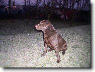 C�zar