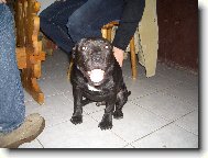 B�rny