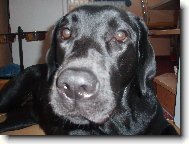 Odpo�inek