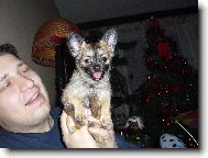 �ivko