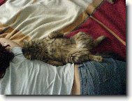 Sibi�sk�