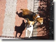 na�i mil��ci