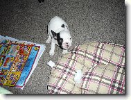 Lilith - mal� mimi