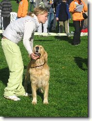 Flexi na v�stav�