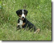 Abora z Velk�ho �jezda