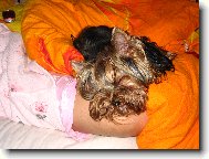 Medy sp�c�