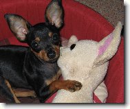 Korinova ve�k� l�ska