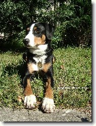 Abora z Velk�ho �jezda