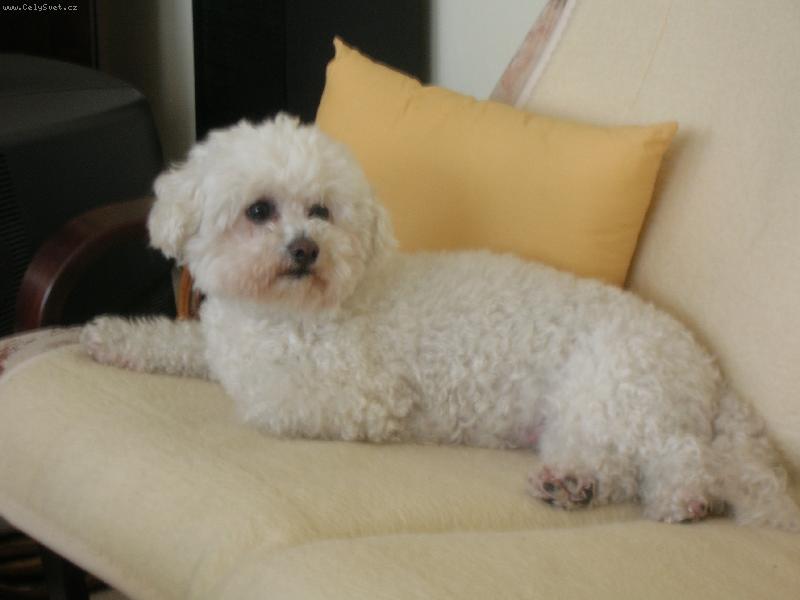 Foto: didina
