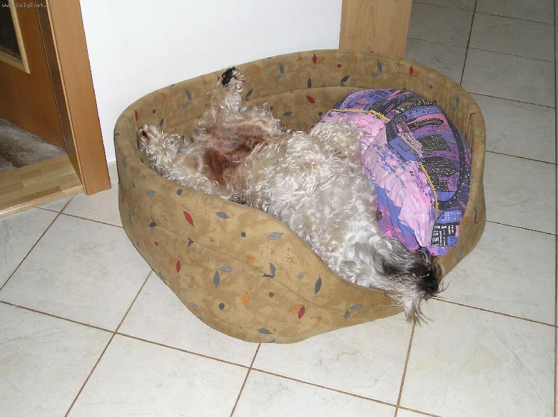 Foto: TE� MI NERU�TE !!!