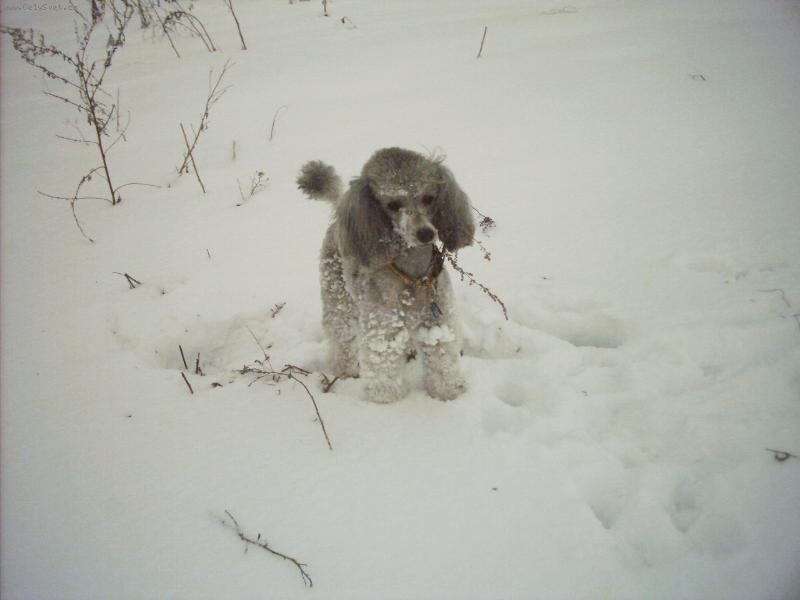 Foto: Lenny