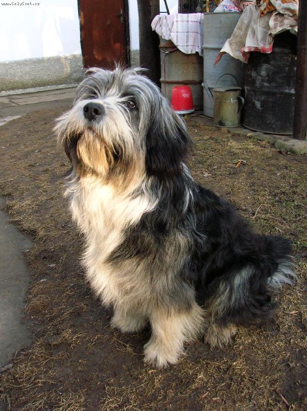 Foto: Max