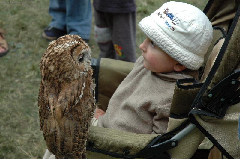 Foto: S�vi�ka-sezn�men�