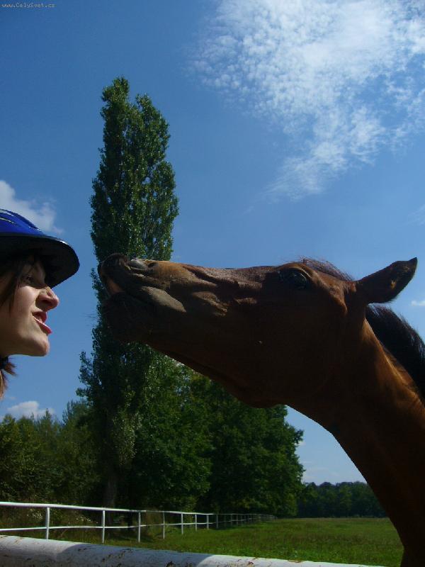 Foto: Znakov� �e�